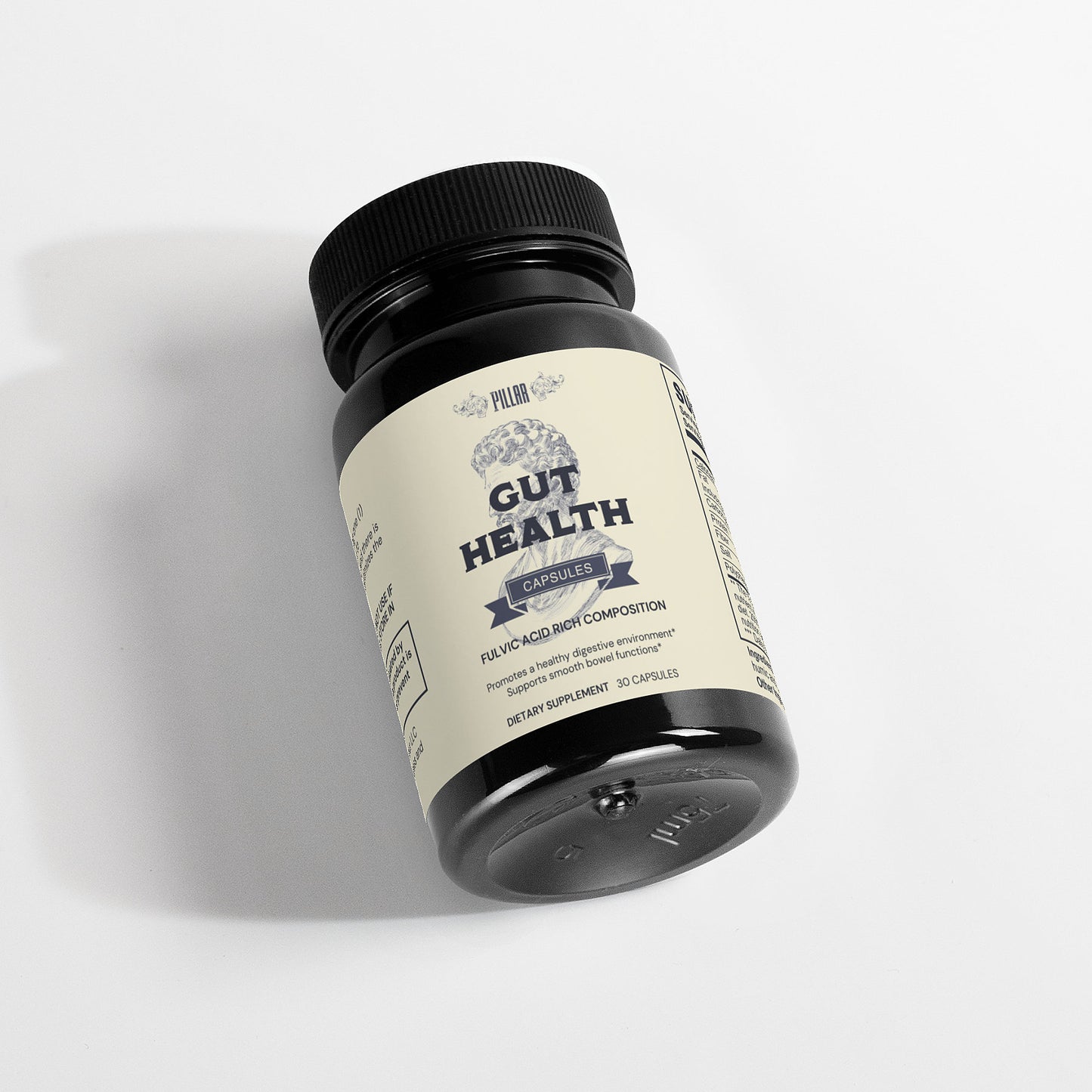 Gut Health